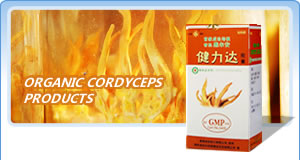 Organic Cordyceps Products