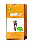 ORGANIC WAYON GANODERMA LUCIDUM IN FORM OF ANTLER